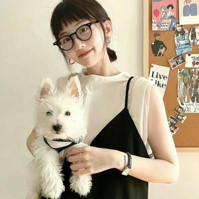 槑头槑脑3